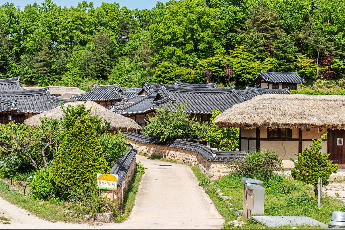 무섬마을 여섯번쨰 사진