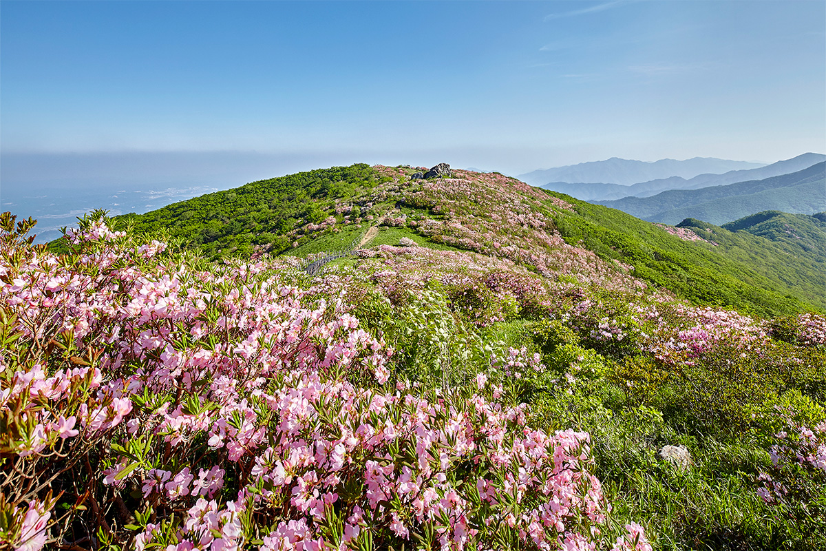 소백산 두번쨰 사진