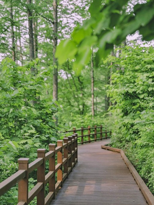 영주 국립산림치유원 다스림 사진3