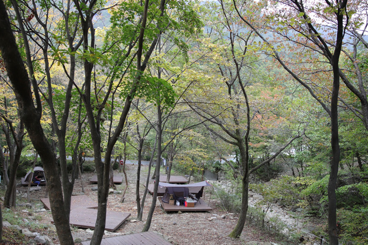 청도 운문산자연휴양림 사진7