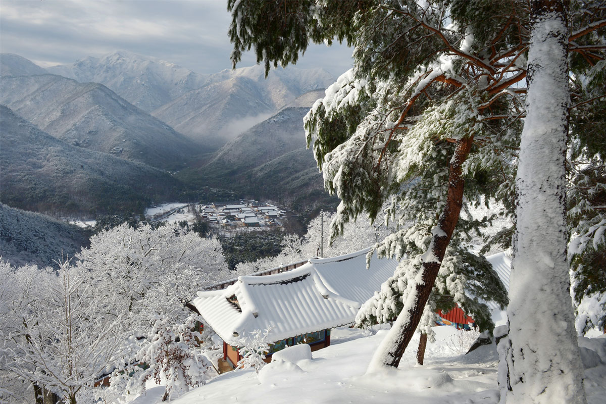 운문사 겨울사진