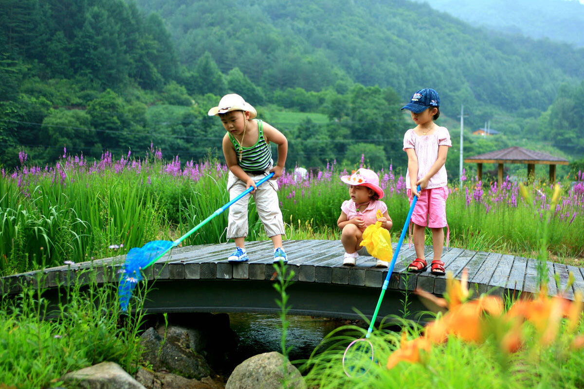 영양 일월산자생화공원 사진7