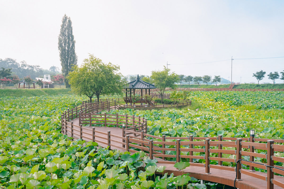 성주 뒷미지수변공원 사진5