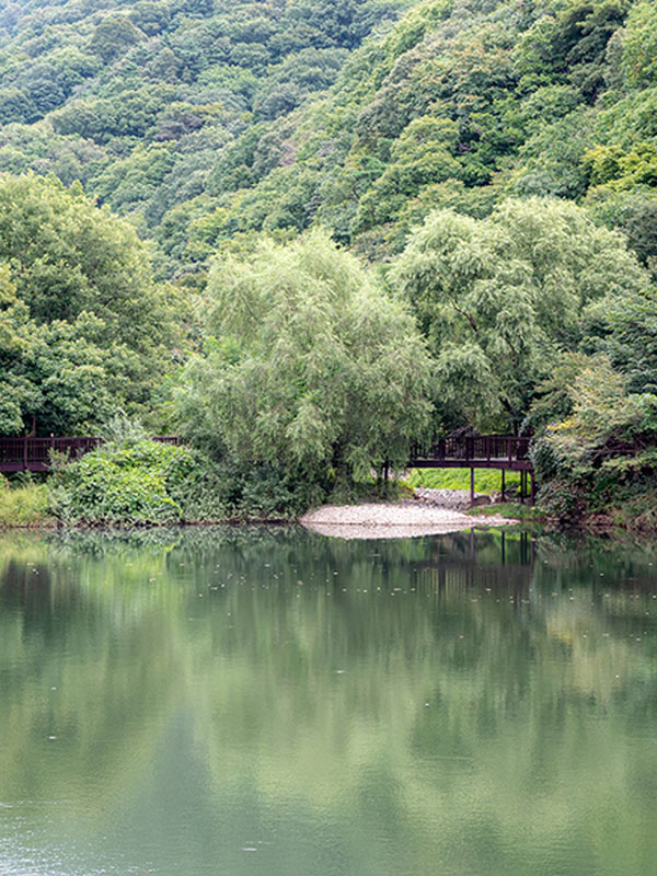 국립칠곡숲체원 사진7