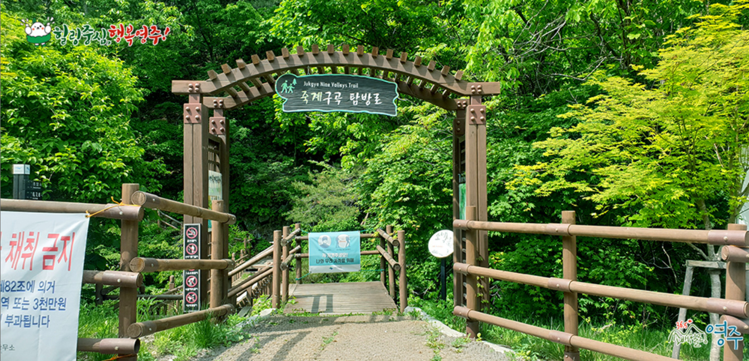 소백산 자락길 열한번쨰 사진