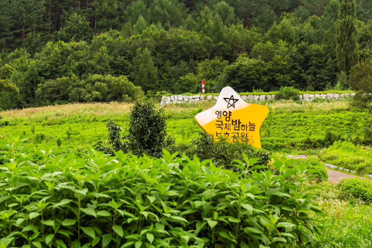 영양국제밤하늘보호공원 별 조형물사진