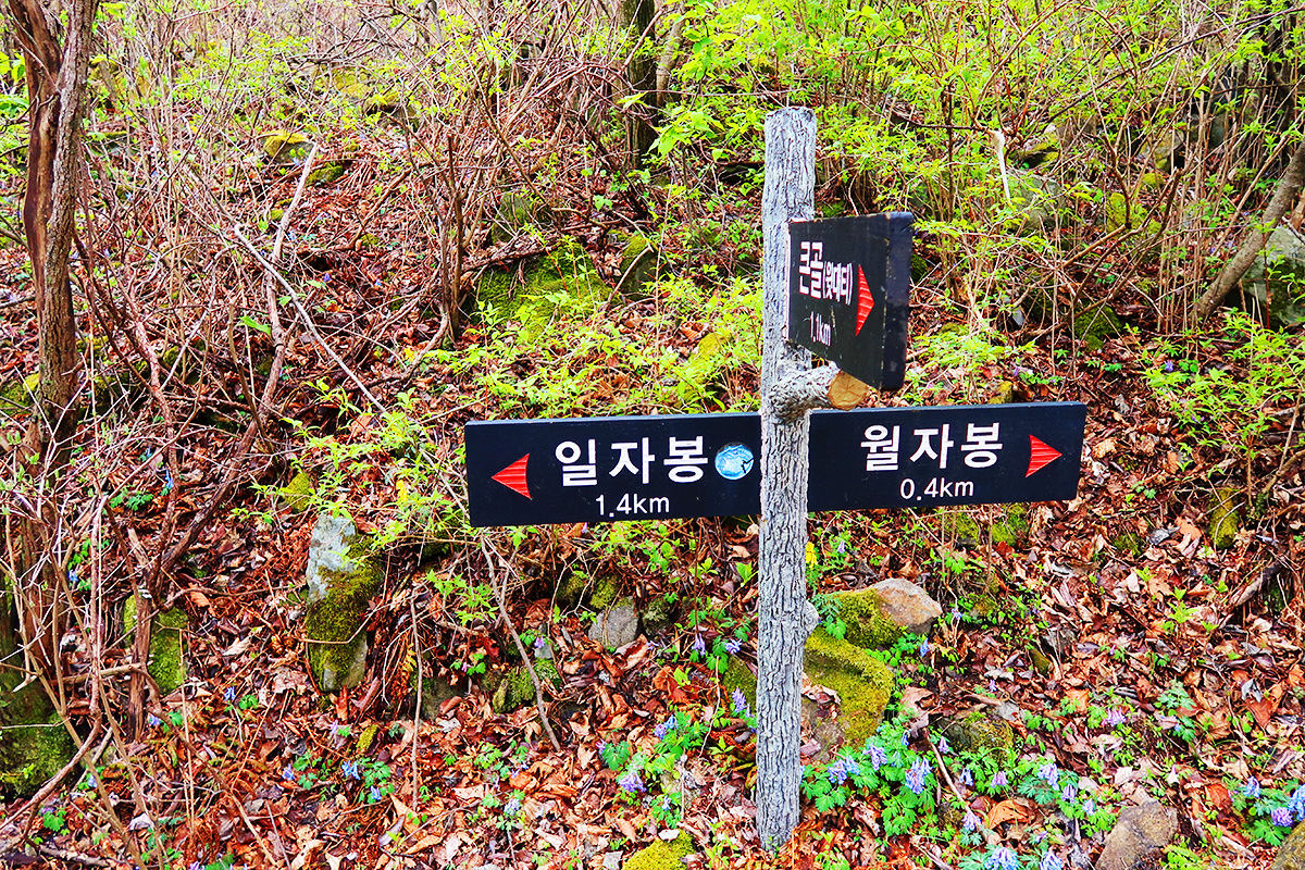 일월산 길안내 표지판 사진