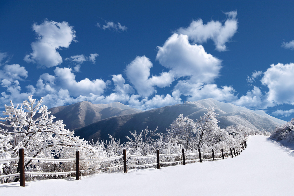 소백산 세번쨰 사진