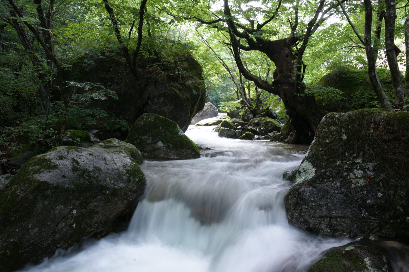 죽계구곡 첫번쨰 사진