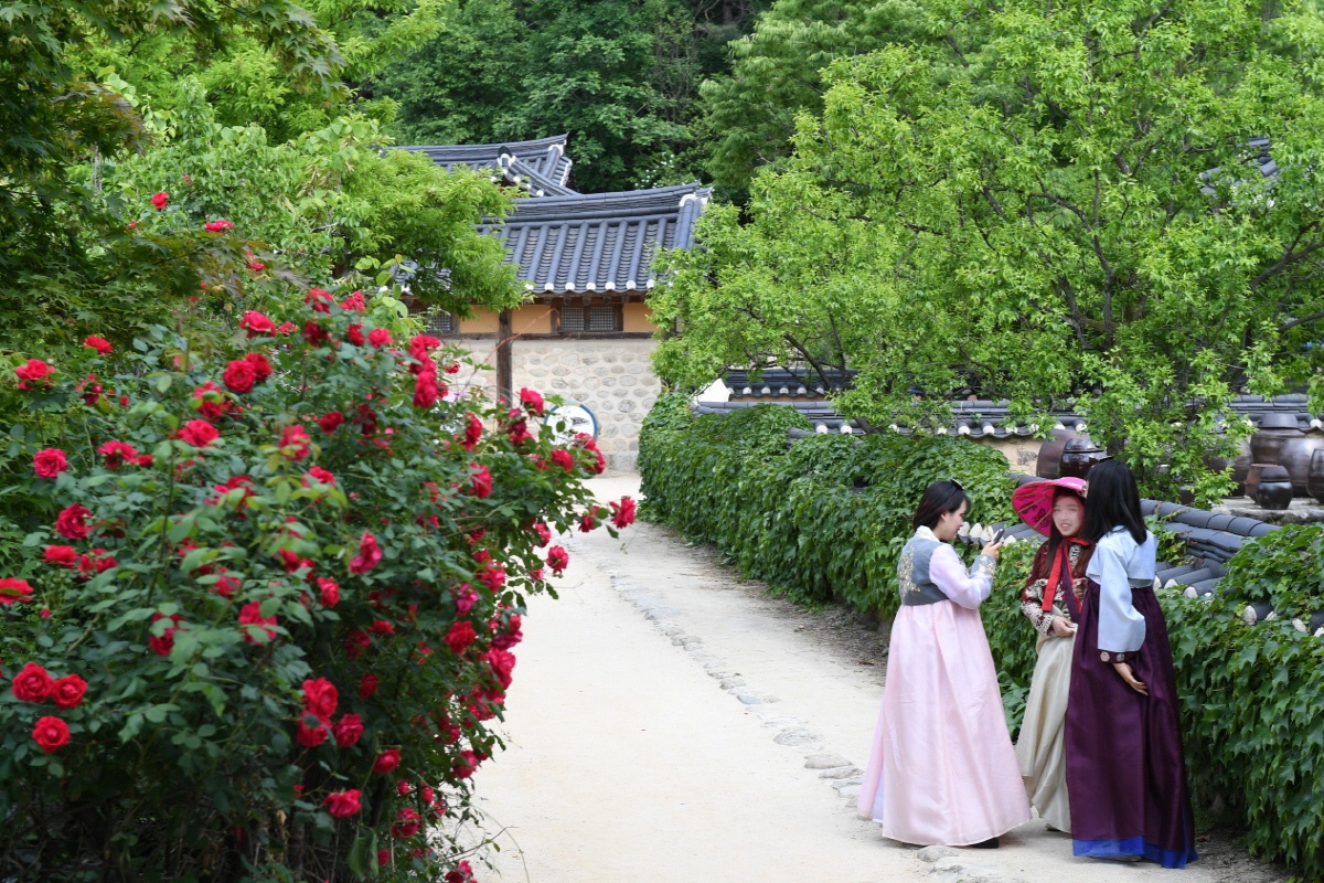 선비촌 일곱번째 사진