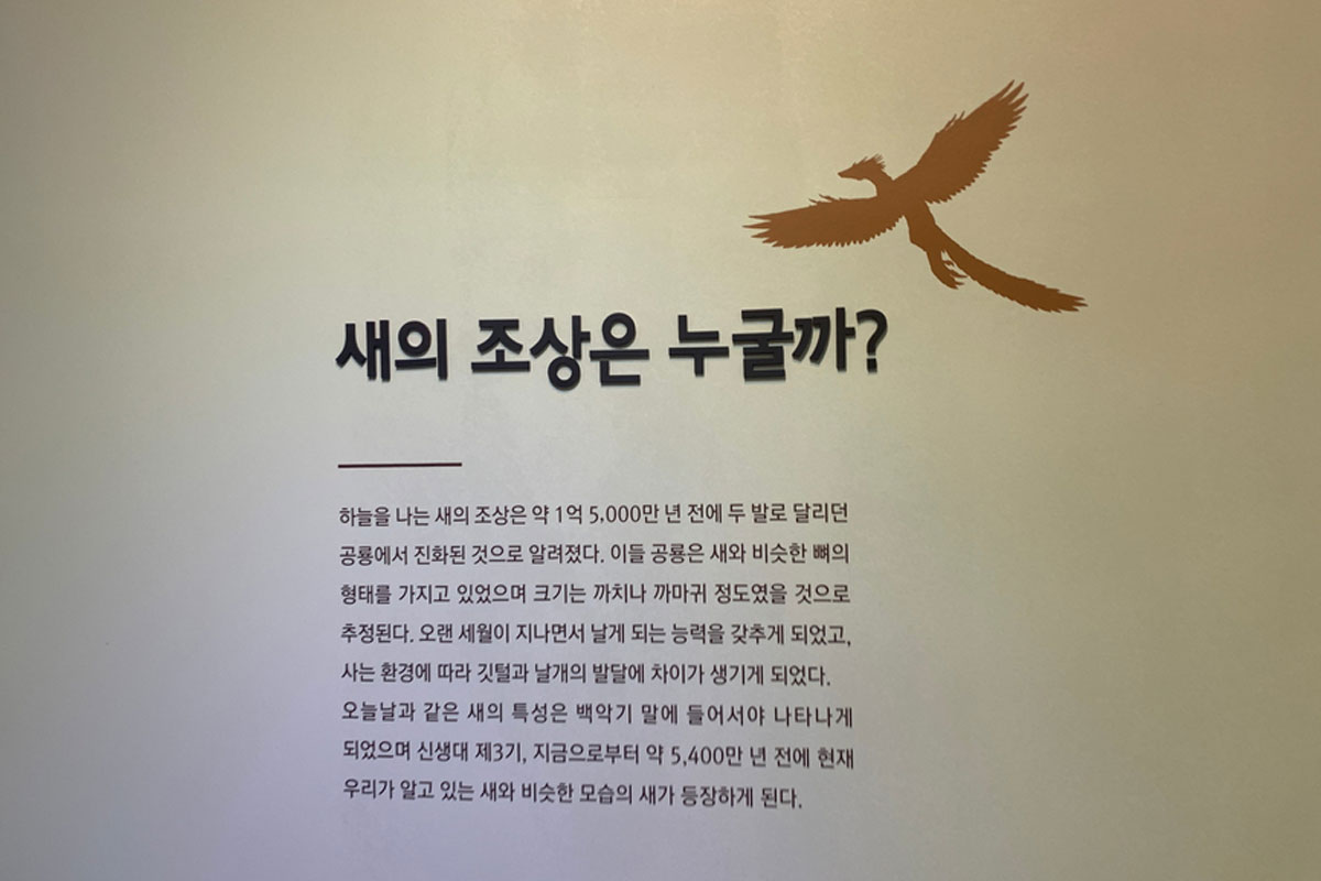 의성 왜가리생태관 사진3