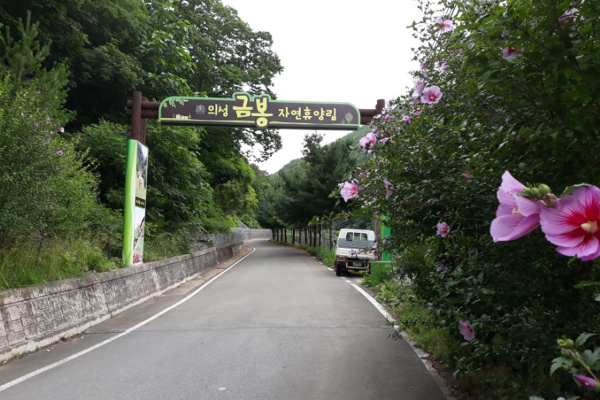 의성 금봉산자연휴양림 사진1