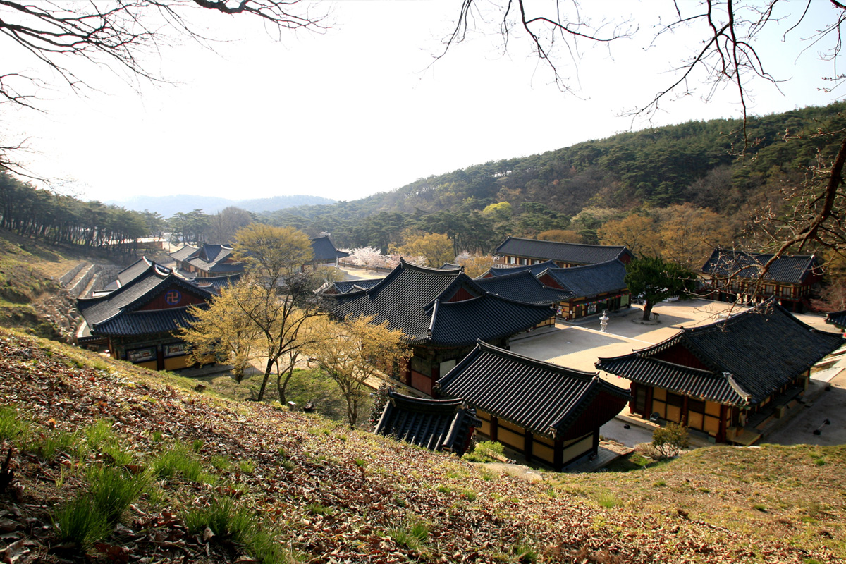 은해사 세번쨰 사진