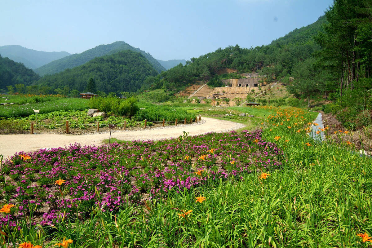 영양 일월산자생화공원 사진1