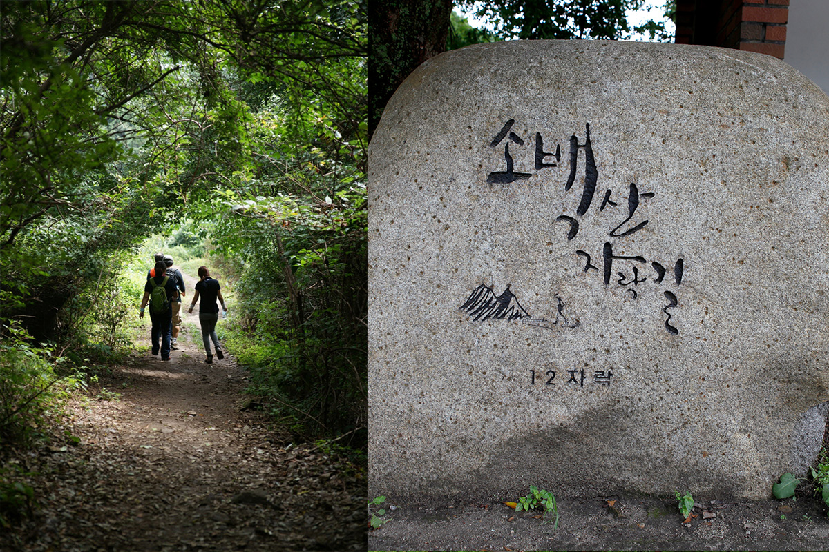 소백산 여섯번쨰 사진