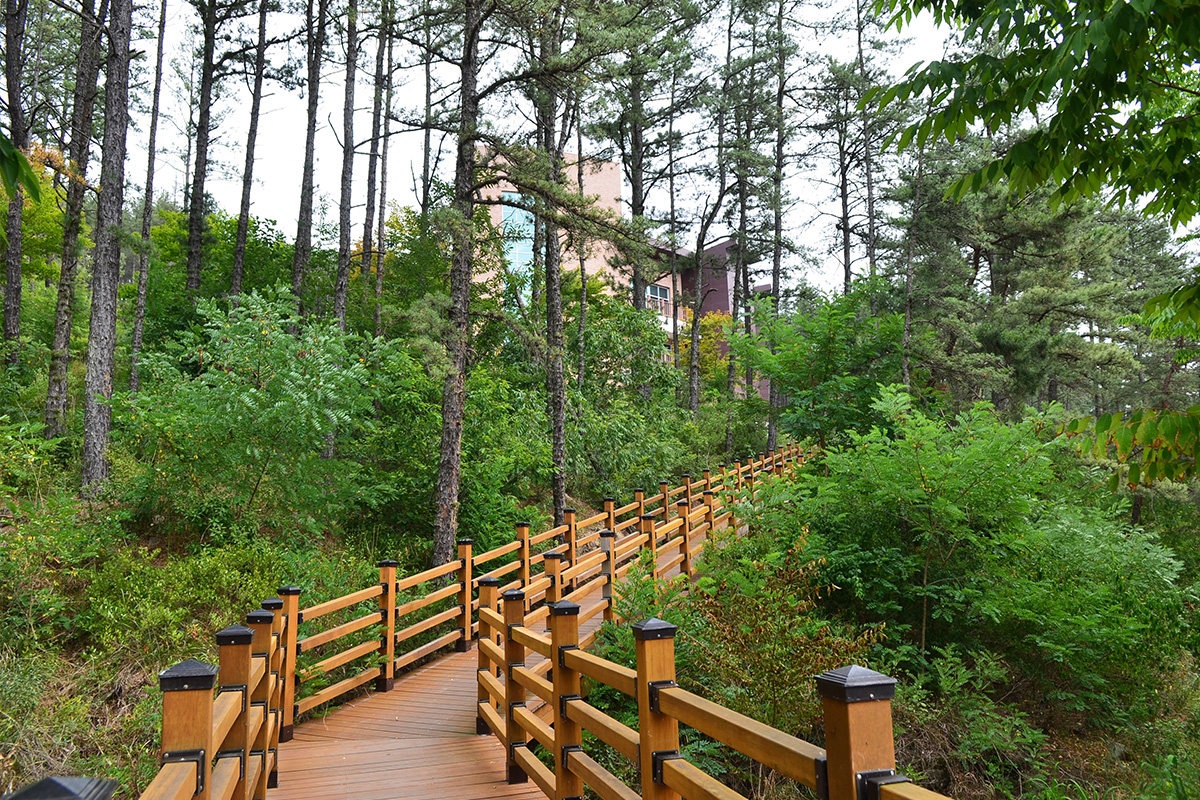 운주산 승마자연휴양림 세번째 사진