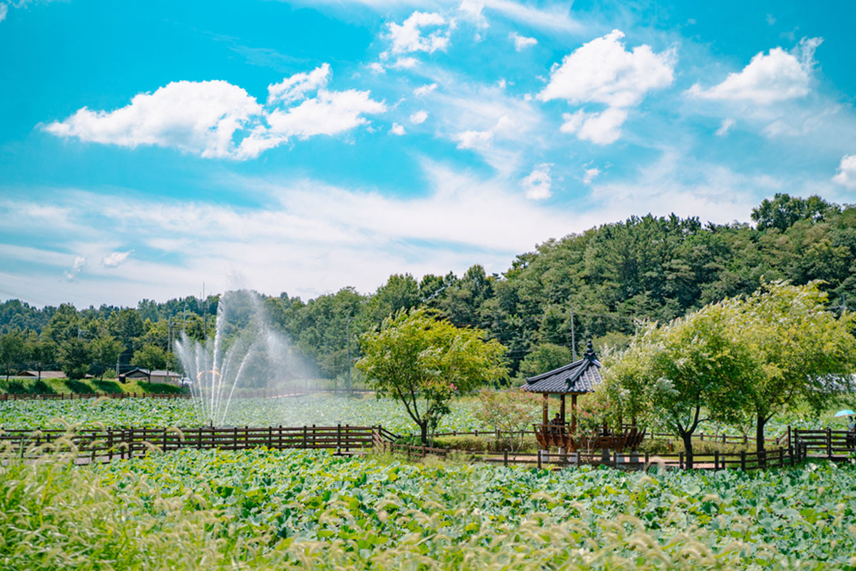 성주 뒷미지수변공원 사진4