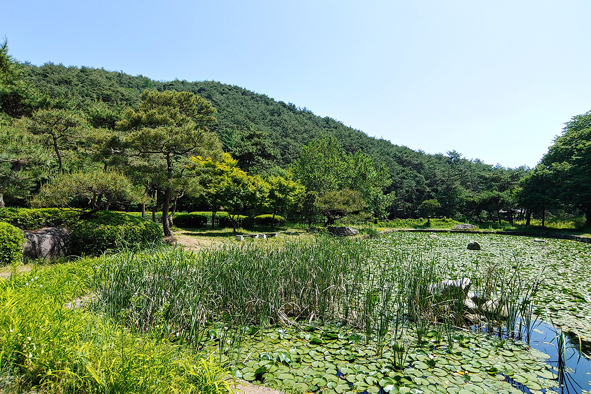 소수서원 열한번째 사진