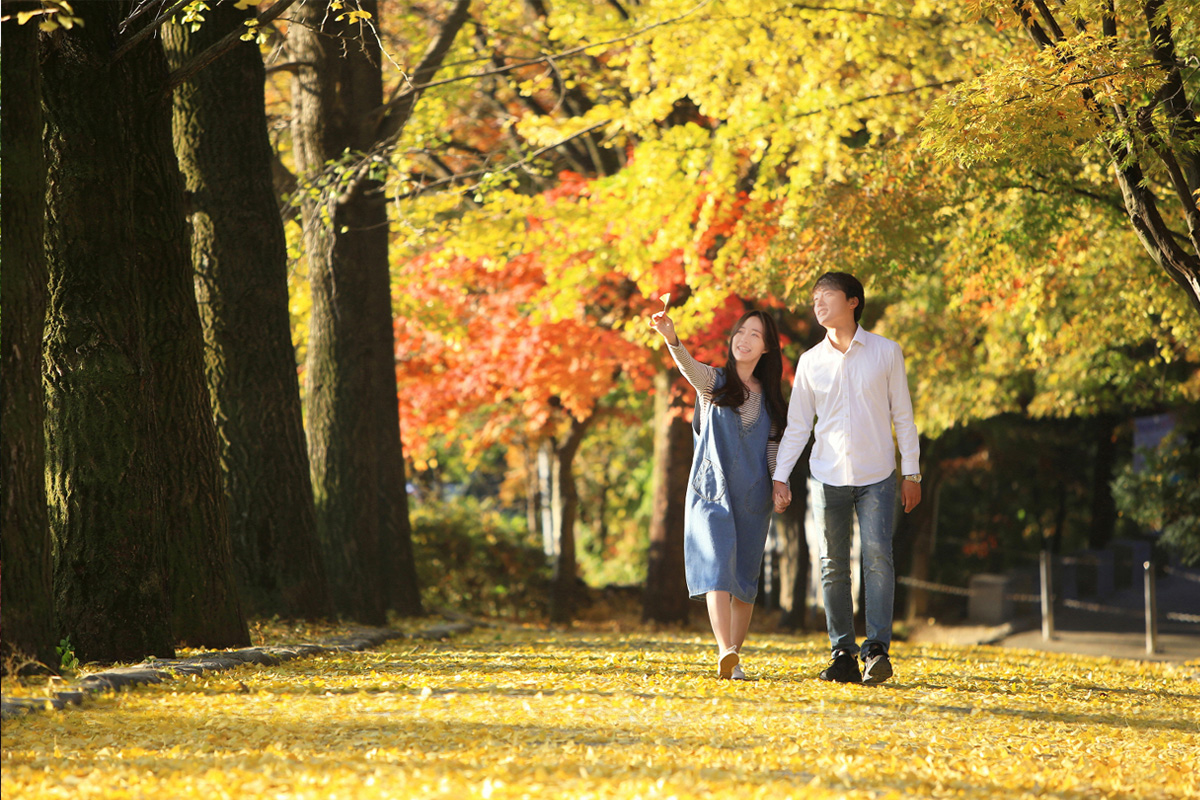 영주 부석사 일곱번쨰 사진