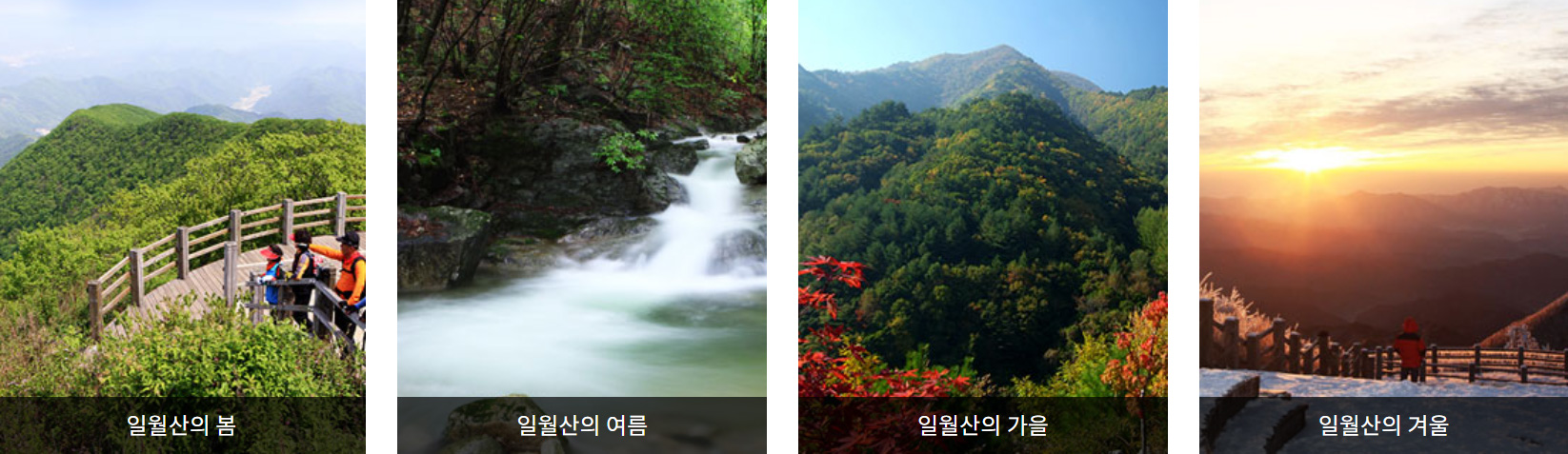일월산 사계 사진
